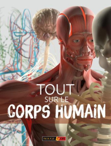 Tout sur le corps humain - Macnair Patricia ; Quigley Sebastian ; Smith Guy ;
