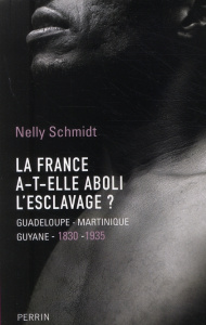 La France a-t-elle aboli l'esclavage ? Guadeloupe-Martinique-Guyane (1830-1935) - Schmidt Nelly