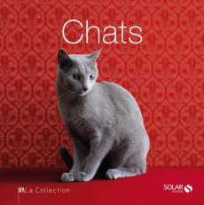 Chats - Gromis Di Trana Caterina ; Breffort Cécile