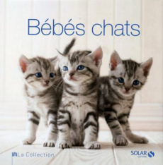 Bébés chats - Schiavo Rita-Mabel ; Chenal Danièle