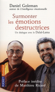 Surmonter les émotions destructrices. Un dialogue avec le Dalaï-Lama - Goleman Daniel