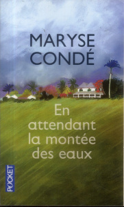 En attendant la montée des eaux - Condé Maryse