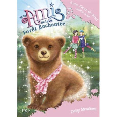 Mes amis de la forêt enchantée Tome 13 : Anna Fleur-de-Miel oublie tout - Meadows Daisy ; Dieuaide Sophie
