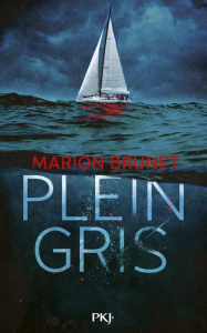 Plein gris - Brunet Marion
