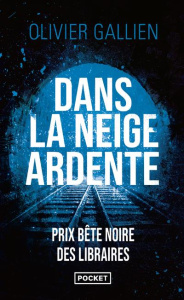 Dans la neige ardente - Gallien Olivier