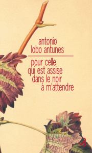 Pour celle qui est assise dans le noir à m'attendre - Antunes António Lobo ; Nédellec Dominique