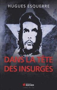 Dans la tête des insurgés - Esquerre Hugues