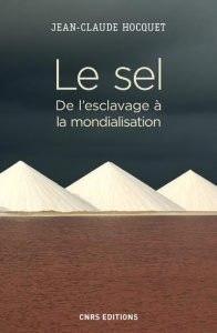 Le sel. De l'esclavage à la mondialisation - Hocquet Jean-Claude