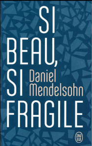 Si beau, si fragile - Mendelsohn Daniel ; Taudière Isabelle D.