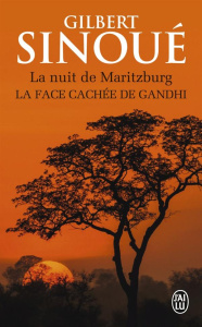 La nuit de Maritzburg - Sinoué Gilbert