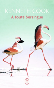 A toute berzingue - Cook Kenneth ; Kennedy Douglas