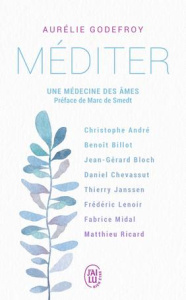 MEDITER - UNE MEDECINE DES AMES - GODEFROY/SMEDT
