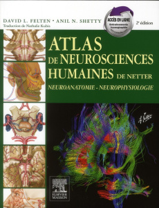 Atlas de neurosciences humaines de Netter. 2e édition - Felten David ; Shetty Anil ; Kubis Nathalie