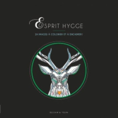 Esprit Hygge. 24 images à colorier et à encadrer !