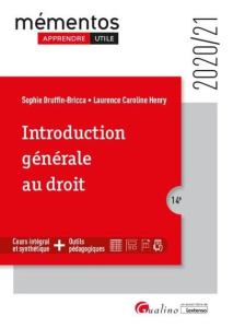 INTRODUCTION GENERALE AU DROIT - DRUFFIN BRICCA SOPHIE;HENRY LAURENCE CAROLINE