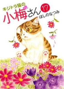 Plum, un amour de chat Tome 17 - Natsumi Hoshino ; Gerriet Julie