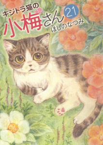Plum, un amour de chat Tome 21 - Natsumi Hoshino