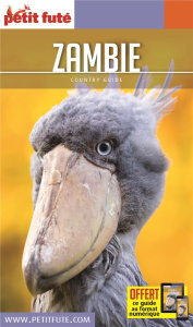 GUIDE ZAMBIE 2020 PETIT FUTE - AUZIAS D. / LABOURDE