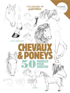 Chevaux et poneys. 50 modèles pour débuter - Herzog Lise