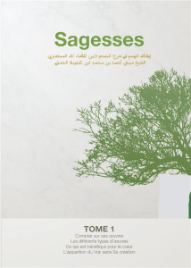 Sagesses. Tome 1, L'éveil des aspirations spirituelles - Ibn ajibah Ahmad