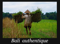 BALI AUTHENTIQUE - VAN DER EECKEN
