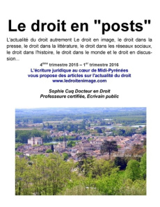 Le droit en posts. De l'automne 2015 au printemps 2016 - Cuq Sophie