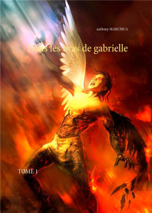 Dans les bras de Gabrielle. Tome 1 - Marchica Anthony