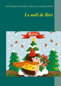 Le noël de Riri - Godart Dominique ; Histe Christelle