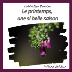 Le printemps, une si belle saison - Lebihain Mélanie