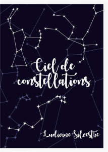 Les Cieux Tome 6 : Ciel de constellations - Silvestre Ludivine