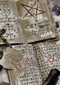La pierre de Srha Tome 3 - Nash Nora