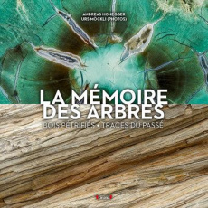 La mémoire des arbres. Bois pétrifiés, traces du passé - Honegger Andreas ; Mökli Urs ; Boccador Sabine