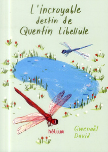 L'incroyable destin de Quentin Libellule - David Gwenaël ; Zhu Ping