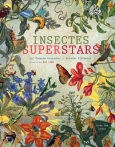 Insectes superstars - Fischetti Antonio ; Camacho-Schlenker Sol