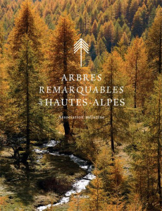 Arbres remarquables des Hautes-Alpes - ASSOCIATION MELUZINE