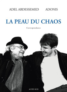 La peau du chaos. Correspondance - Abdessemed Adel