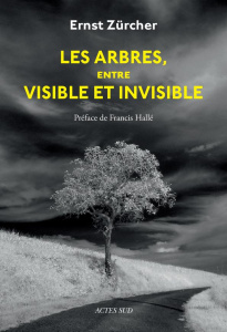Les arbres, entre visible et invisible. S'étonner, comprendre, agir - Zürcher Ernst ; Hallé Francis ; Sirven Bruno