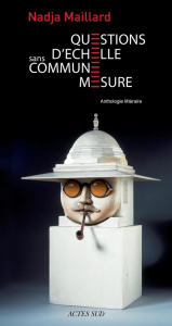 Questions d'échelle. Sans commune mesure - Maillard Nadja ; Frey Pierre
