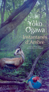Instantanés d'ambre - Ogawa Yoko ; Makino-Fayolle Rose-Marie