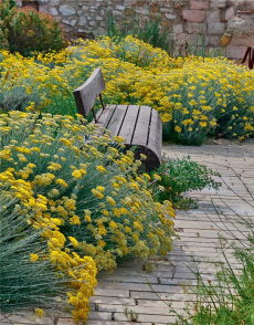 Le Jardin des migrations. Un parcours ethnobotanique au Mucem - Alaguillaume Stanislas ; Inchierman Yves ; Delport