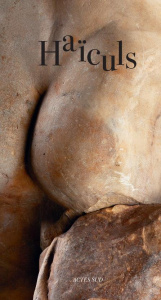 Haïculs. Collections de l'Arles antique - Sabouraud Rémi ; Toussaint Soizic
