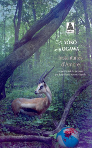 Instantanés d'Ambre - Ogawa Yoko ; Makino-Fayolle Rose-Marie