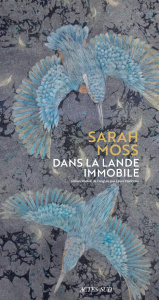 Dans la lande immobile - Moss Sarah ; Manceau Laure