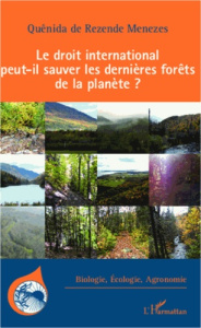 Le droit international peut-il sauver les dernières forêts de la planète ? - Rezende Menezes Quênida de