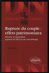 Rupture du couple : effets patrimoniaux. Divorces et séparation, rupture de PACS et de concubinage - Favier Yann ; Le Guidec Raymond