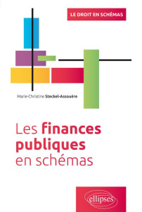 Les finances publiques en schémas - Steckel-Assouère Marie-Christine