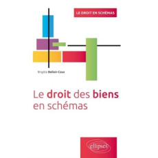 Le droit des biens en schémas - Belloir-Caux Brigitte
