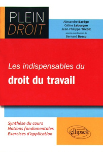 Les indispensables du droit du travail - Bossu Bernard ; Barège Alexandre ; Leborgne-Ingela