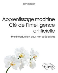 Apprentissage machine. Clé de l'intelligence artificielle. Une introduction pour non-spécialistes - Gileron Rémi