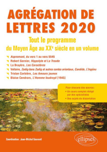 Tout le programme du Moyen Age au XXe siècle en un volume. Agrégation de Lettres, Edition 2020 - Gouvard Jean-Michel